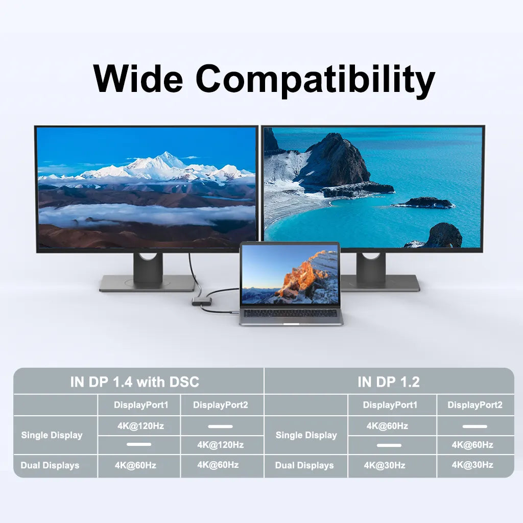  USB C to Dual  Adapter(Compatibility)