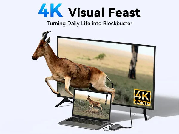 4K Visual Feast