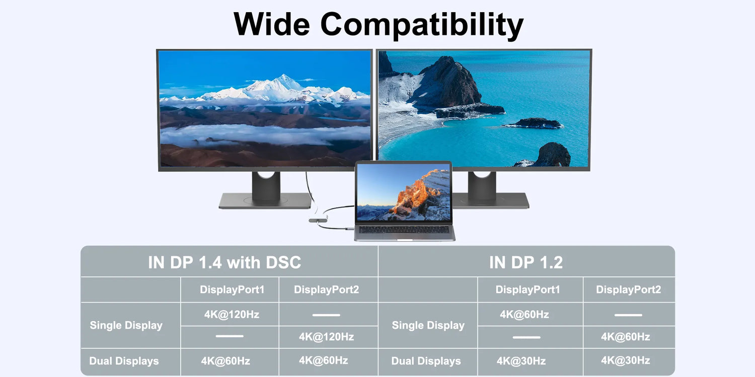  USB C to Dual DisplayPort Adapter Compatibility